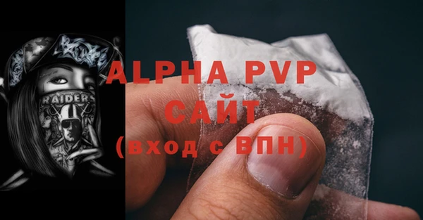 спиды Абаза
