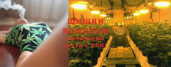 спиды Абаза