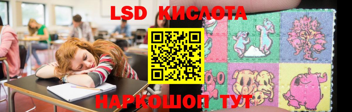 LSD-25 экстази кислота  гидра ONION  Кызыл  Вход с VPN 