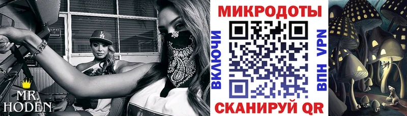 OMG как зайти  Кызыл  Галлюциногенные грибы мицелий 