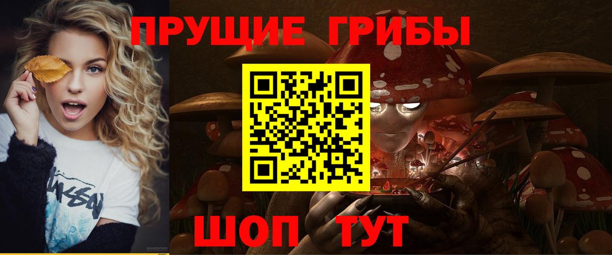 Псилоцибиновые грибы MAGIC MUSHROOMS  Вход с VPN  Кызыл  Галлюциногенные грибы прущие грибы 