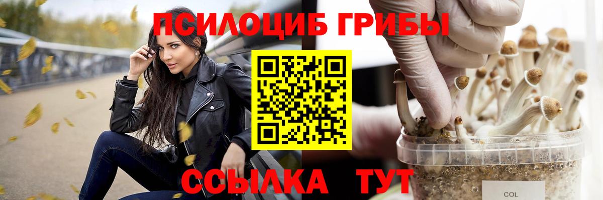 Псилоцибиновые грибы прущие грибы Кызыл