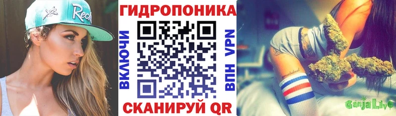 MEGA ONION  Кызыл  Канабис MAZAR 